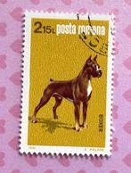 Roemenie gestempeld 200 => Honden - Boxer