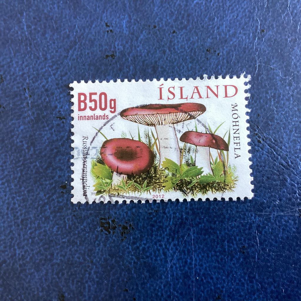 IJslandse - 2012 - Paddenstoelen (Russula -Mi.1364, Ophalen of Verzenden, IJsland, Gestempeld
