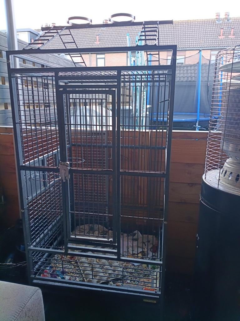 Papagaaien kooi leeg, Dieren en Toebehoren, Vogels | Parkieten en Papegaaien, Mannelijk, Parkiet