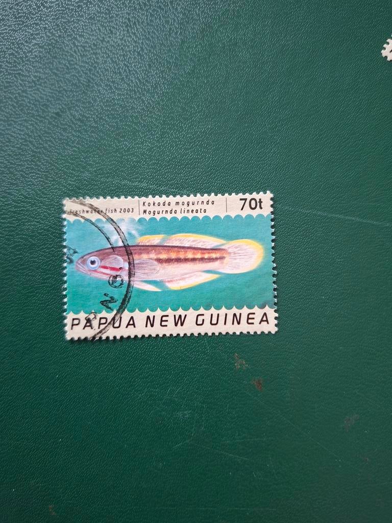 Vis. Papua Nieuw Guinea, Ophalen of Verzenden, Dier of Natuur