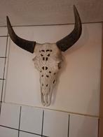 Buffel schedel wanddecoratie kunststof, Ophalen, Gebruikt