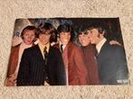 Poster A3 formaat BEE GEES, Verzamelen, Ophalen of Verzenden