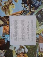 Diverse plaatjes van de Bleu Band Margarine jaren 60, Ophalen of Verzenden, Zo goed als nieuw, Plaatjesalbum