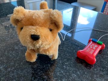 hondje met afstandsbediening. Het loopt blaft en kwispelt. beschikbaar voor biedingen