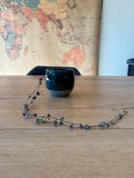 Hartjes plant / ceropegia woodii, Ophalen, Zo goed als nieuw, Zonnebril, Overige merken
