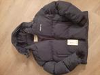 EQUALITE winterjas puffer L donkerblauw nieuw, Kleding | Heren, Jassen | Winter, Maat 52/54 (L), Blauw, Nieuw, Equalite