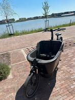 Carqon cruise te koop, Ophalen, Gebruikt, Overige merken