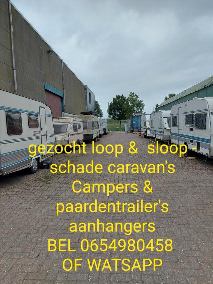 GEVRAAGD SLOOP EN SCHADE CARAVANS - CAMPERS & TRAILER'S, Caravans en Kamperen, Caravans, Bedrijf, Rondzit, Ophalen