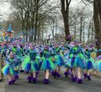 Grote loopgroep thema sprookjes, elfjes, tovenaars carnaval, Ophalen of Verzenden