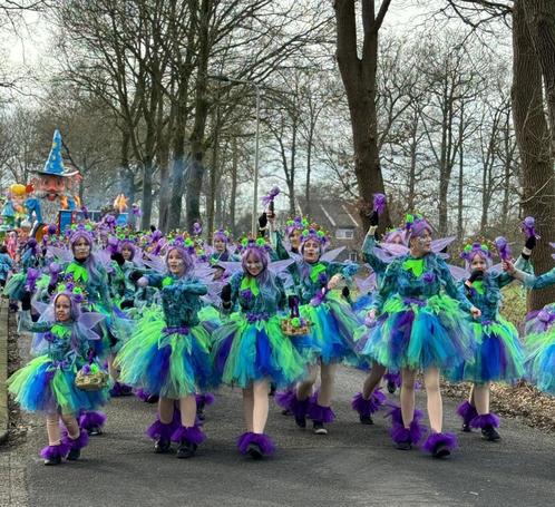 Grote loopgroep thema sprookjes, elfjes, tovenaars carnaval, Kleding | Dames, Carnavalskleding en Feestkleding, Ophalen of Verzenden