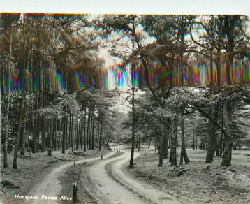 (387-143-007) Nunspeet Poolse Allee beschikbaar voor biedingen