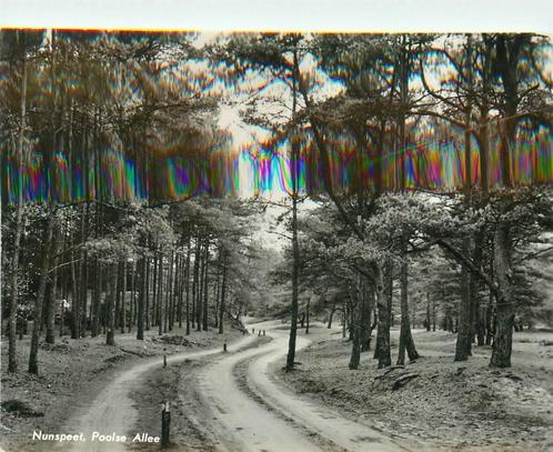 (387-143-007) Nunspeet Poolse Allee, Verzamelen, Ansichtkaarten | Nederland, Gelderland, Verzenden