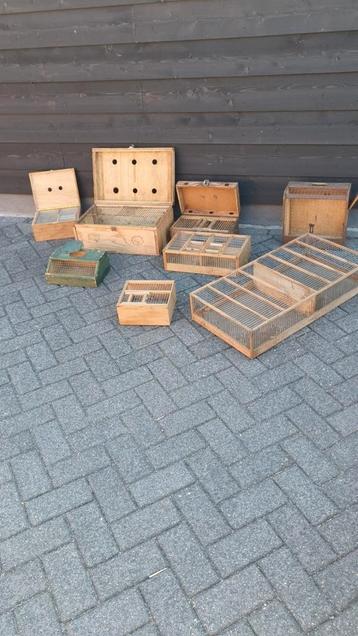 Verschillende vogel hokjes beschikbaar voor biedingen