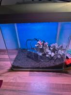 Aquarium met led verlichting, Ophalen, Zo goed als nieuw, Leeg aquarium