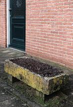 Bentheimer zandsteen bloembak, Ophalen, Steen, 100 cm of meer, Rechthoekig