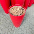 Bordeaux rode  bloempot - kunststof, Ophalen, Overige soorten, Halfschaduw, Minder dan 100 cm