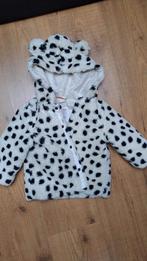 Hema Teddy Jas Maat 80, Gebruikt, Jongetje of Meisje, Ophalen of Verzenden, Jasje