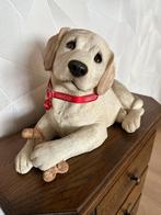 Sandicast Labrador Beeld - Handgeschilderd - 43 cm, Ophalen of Verzenden