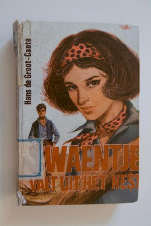 Zwaan valt uit het Nest Zigeuner leven Hans de Groot-Cante, Boeken, Kinderboeken | Jeugd | 13 jaar en ouder, Gelezen, Verzenden