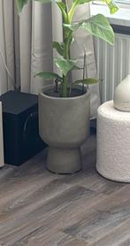 Groene Bloempot van Jysk, Tuin en Terras, Bloempotten, Rond, Nieuw, Binnen, Aardewerk