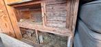 Hierbij verkoop ik mijn 2 cavia's en het caviahok., Dieren en Toebehoren, Cavia, Mannelijk, Januari, Tam