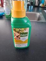 Pokon Bonsai voeding, Ophalen, Zo goed als nieuw