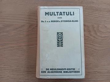 Drs. J van den Bergh van Eysinga-Elias - Multatuli 1920 beschikbaar voor biedingen