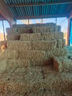 Hooi, Dieren en Toebehoren, Dierenvoeding, Ophalen of Verzenden, Vee