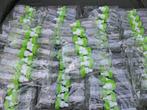 lot baby bottel, Ophalen of Verzenden, Nieuw, Feestartikel, Overige