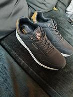 Zgan skechers dames, Ophalen, Skechers, Zwart, Sneakers of Gympen