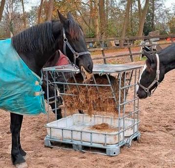 Hooiruif voor paarden of pony's, of andere dieren

 beschikbaar voor biedingen