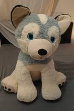 Grote husky knuffel ca. 100 cm - Zo goed als nieuw, Kinderen en Baby's, Speelgoed | Knuffels en Pluche, Ophalen of Verzenden, Zo goed als nieuw