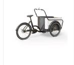 Royal de luxe bakfiets, Ophalen of Verzenden, Nieuw