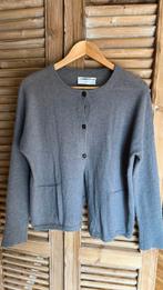 Pomandere vest grijs like new! 46, Maat 46/48 (XL) of groter, Ophalen of Verzenden, Zo goed als nieuw, Grijs