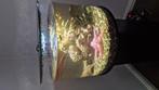 Biorb aquarium 30 liter (inclusief vissen en algeneters), Dieren en Toebehoren, Vissen | Aquaria en Toebehoren, Ophalen, Gebruikt