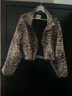 Feline jacket Studio Amaya NIEUW, Kleding | Dames, Overige kleuren, Studio Amaya, Nieuw, Ophalen of Verzenden