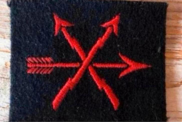 Marine Embleem  Radioafstandpeiler plotter der 2e Klasse, Verzamelen, Militaria | Algemeen, Marine, Embleem of Badge, Nederland