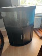 Juwel Trigon 190 LED, Ophalen of Verzenden, Gebruikt, Leeg aquarium