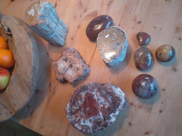 Prachtige gepolijste versteend hout stukken, 6kg totaal, Sieraden, Tassen en Uiterlijk, Edelstenen, Nieuw, Ophalen of Verzenden