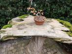 eyecatcher, Tuin en Terras, Tuintafels, Ophalen, Gebruikt, Ovaal, Hout