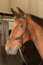 Harry's Horse Kaptoom hoofdstel Leder Anatomic, Cob en Full, Dieren en Toebehoren, Ophalen of Verzenden, Nieuw