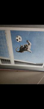 Kattenvoetbal Kunstprint, Ophalen