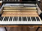Fender Rhodes Restauratie en Bekleding, Garantie, Toetsinstrumenten