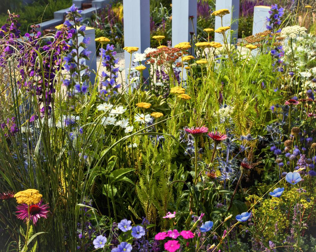Inheemse bijenbloemen zaden (9 soorten) | Vaste bloemen, Tuin en Terras, Bloembollen en Zaden, Verzenden, Najaar, Halfschaduw