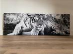 Foto schilderij op plaat - tijger - 1,56x52cm, Huis en Inrichting, Woonaccessoires | Schilderijen, Tekeningen en Foto's, Schilderij