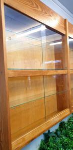 Schoolkast | Verzameling kast | Vitrinekast, 2033 NJ, 50 tot 100 cm, Zo goed als nieuw, Info@vintagefabriek.com