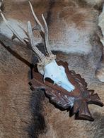 Reebok trofee XXL. 6 ender. Handgestoken houten trofee brons, Ophalen of Verzenden, Zo goed als nieuw, Hert, Schedel