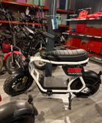 Nieuw Coopop 22 Rugged E-Cruiser E-Scooter IN 5 KLEUREN!, Maximaal 45 km/u, Elektrisch, Nieuw, Ophalen of Verzenden