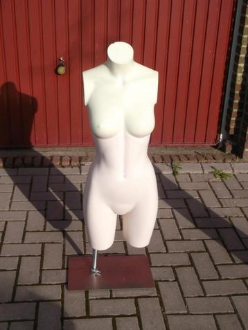 Torso van een vrouw (armen ontbreken) beschikbaar voor biedingen