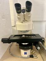 Zeiss Microscoop Axioplan 2 imaging, Ophalen, Zo goed als nieuw, 400x tot 1000x, Biologische microscoop